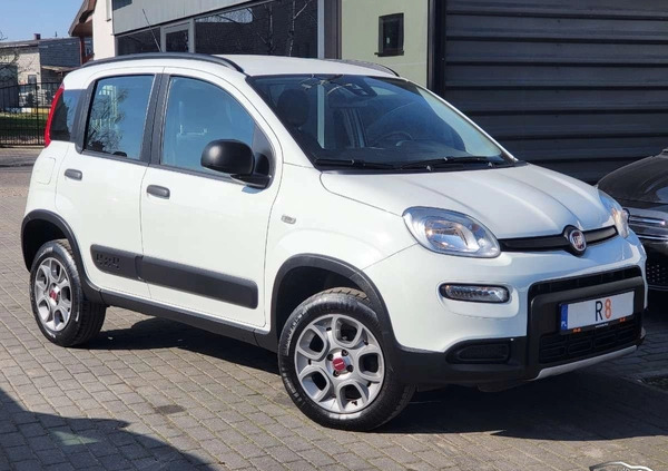 Fiat Panda cena 49900 przebieg: 46004, rok produkcji 2019 z Kościan małe 466